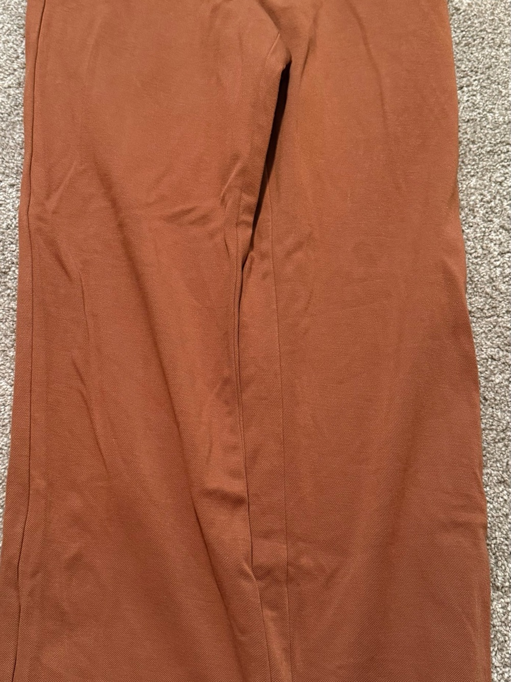 Express Men's Chinos in Rust